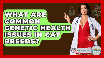 What Are Common Genetic Health Issues In Cat Breeds? - Ask A Pet Vet