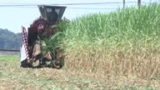 Farmers, fishermen feeling effects of trade war