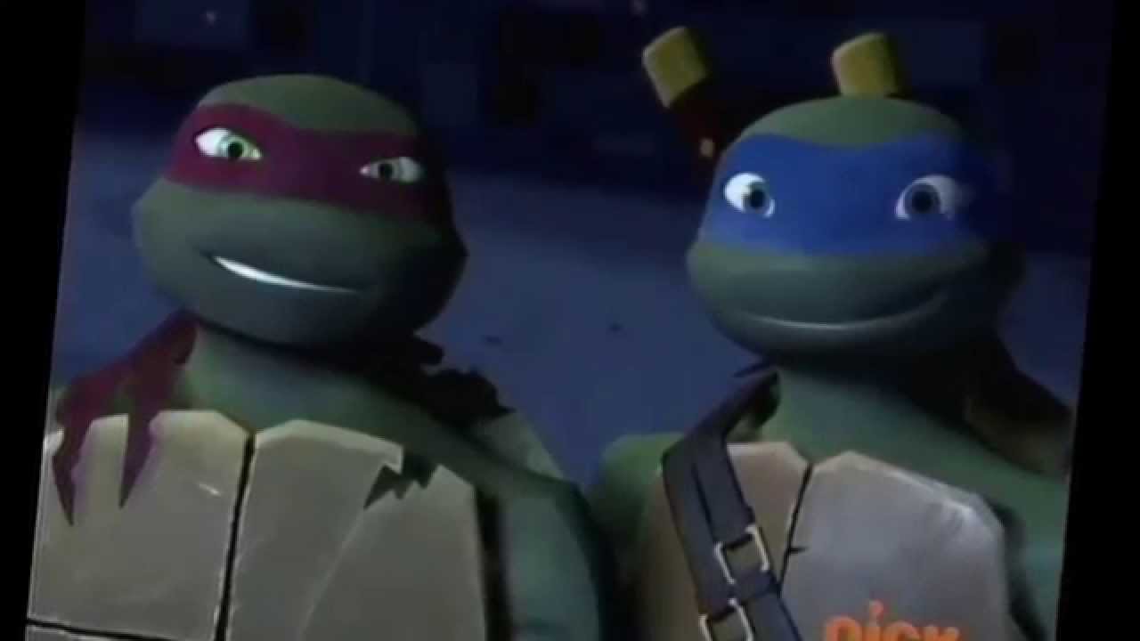 TMNT Leo And Raph Life's Too Short