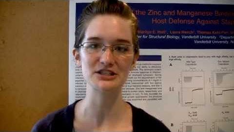 2011 REU Poster Session