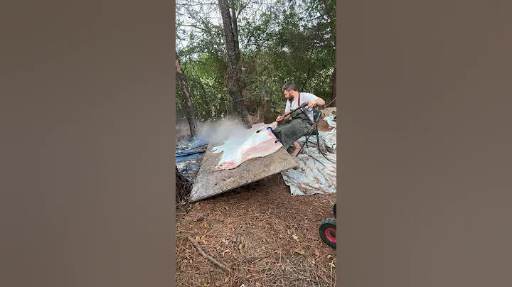 Blake Byler is live! Fleshing g cowhide with pressure washer
