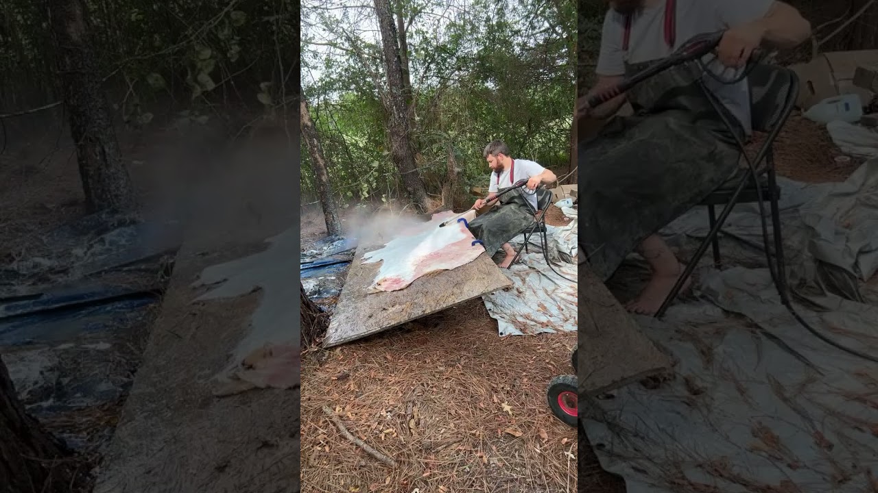 Blake Byler is live! Fleshing g cowhide with pressure washer