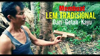 MEMBUAT LEM TRADISIONAL DARI GETAH KAYU