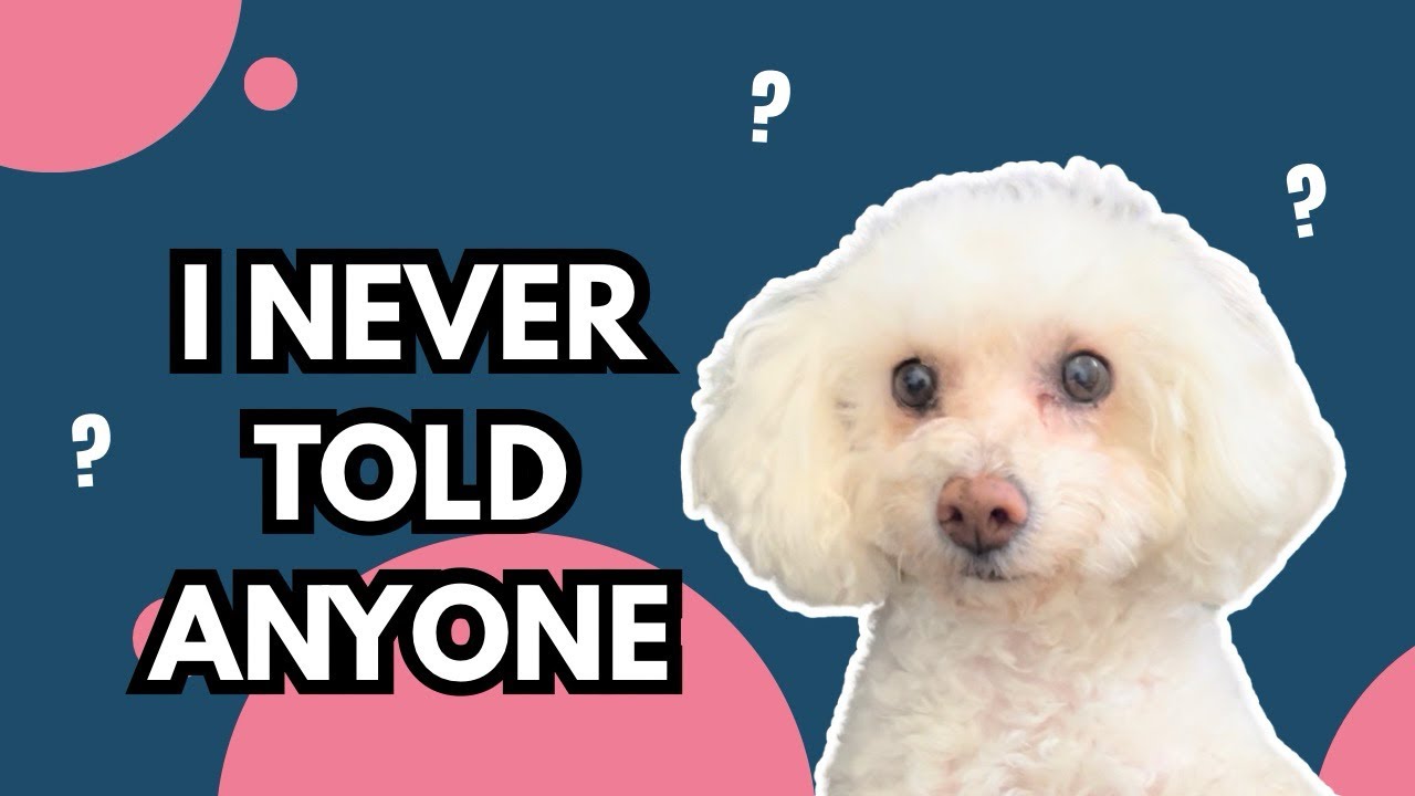 Why I Chose to Adopt a Rescue Dog (confessions of a real dog mom)