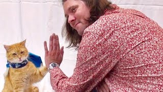 茶トラ野良猫が薬物に苦しむホームレスを救った感動の実話映画『ボブという名の猫 幸せのハイタッチ』インタビュー