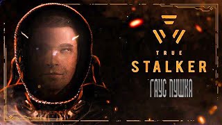 S.T.A.L.K.E.R TRUE STALKER | ГАУС ПУШКА, ВОЕННАЯ БАЗА, СУРОК | ПРОХОЖДЕНИЕ | #28