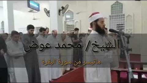 ما تيسر من سورة البقرة للشيخ محمد عوض