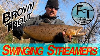 How to Swing Streamers for river Brown Trout (fly fishing tips & techniques) "Fish Tails" ep-32