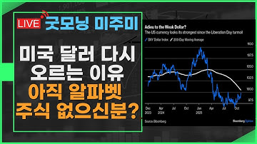 [굿모닝 미주미] 빅테크 반등, 단기 반짝일까 대세 상승 지속일까? (알파벳 매수 시점)   #미주미 #이항영