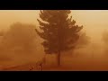 3 Minutes Ago ! The End Of Texas : Sandstorm Haboob