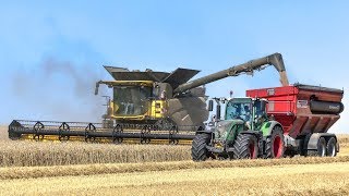 Moisson / Harvest 2017 - New Holland CR 9.90 / Fendt 724 + transbordeur Perard [4K/Phantom]