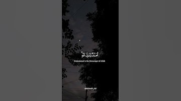 ﴿ مُّحَمَّدٌ رَّسُولُ اللَّهِ ﴾ سورة الفتح || القارئ ياسر الدوسري