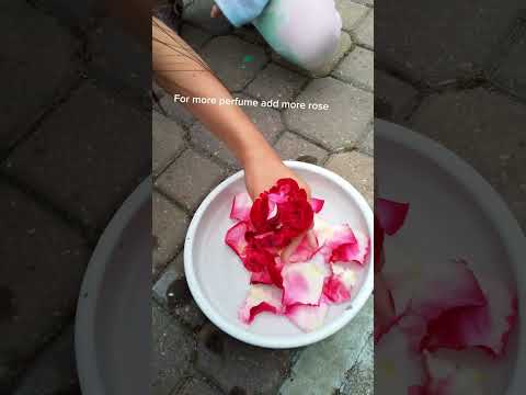 Video: Hoe om 'n roos- en laventelparfuum te maak: 9 stappe (met foto's)