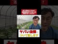 違反農家には罰金刑。『食糧危機対策法』成立