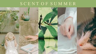 Scent of Summer - Beautiful Piano & Ambience, Summer Themed BGM ｜BigRicePiano screenshot 4
