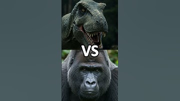 T-REX vs King lion and jungle #animal #animals #animalfight #lion #trex #dinosaur