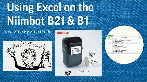 Spreadsheet B21  B1 Niimbot Tutorial Excel