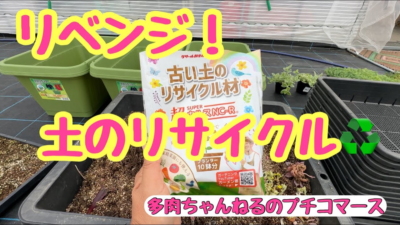 多肉植物】リベンジ‼️土のリサイクル♻️で多肉を植える🧑‍🌾 - YouTube