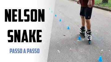 Nelson Snake [Nível 02] - Passo a passo