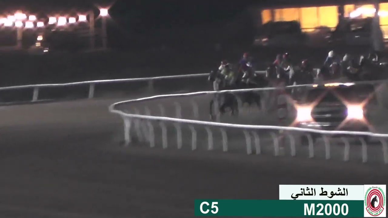 البحر / اسطبل ثامر المطرقه