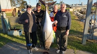 Jumbo Bermagui Bluefin Tuna July 2014 - SBT Barrell Hunting Australia