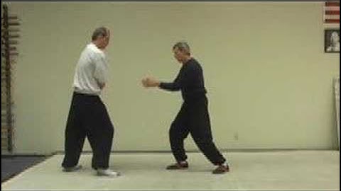 Wang Shujin Bagua Zhang: #7 "Whole Body Power"