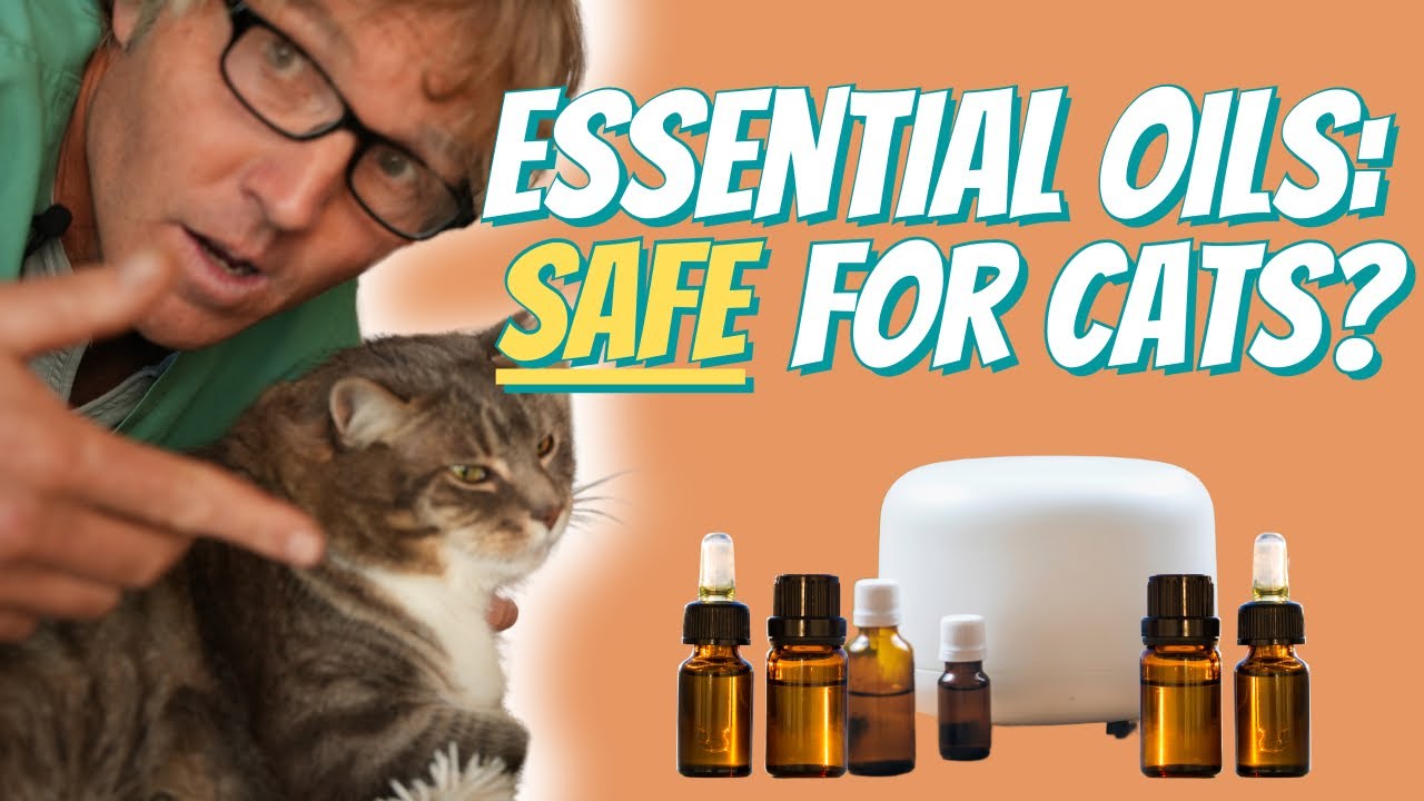 Are Essential Oils Safe For Cats?