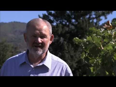 100% Cork: Richard Arrowood of Amapola Creek Wines...