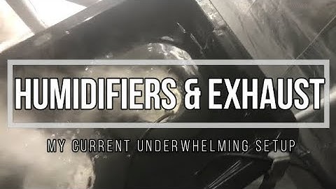 Mushroom Fruiting Room:  My current Humidifiers & Exhaust Setup