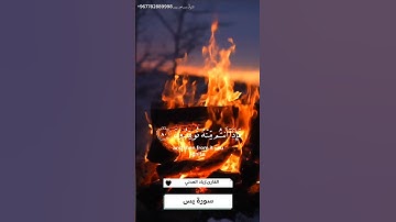 اولم يرى الانسان انا خلقنه من نطفه #تلاوات_مساجد_عدن #اكسبلور #سورة_يس #خلق_الله #ترند #راحة_نفسية