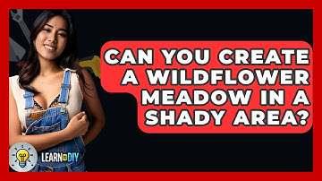 Can You Create A Wildflower Meadow In A Shady Area? - LearnToDIY360.com