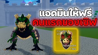 แอดมินให้ผล T-Rex ผมฟรีคนแรกของเซิฟ [Blox Fruits]