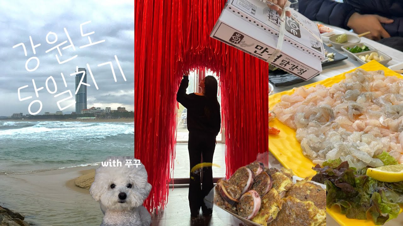 강릉・양양・속초를 당일에 다 돈다고요..? | 하슬라아트월드 | 낙산사 회센터 | 속초관광수산시장 | 만석닭강정 | 아바이순대 | 왕과사는남자