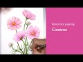 Real time watercolor painting: pink cosmos flowers (sketch available for download)