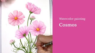 Real time watercolor painting: pink cosmos flowers (sketch available for download)