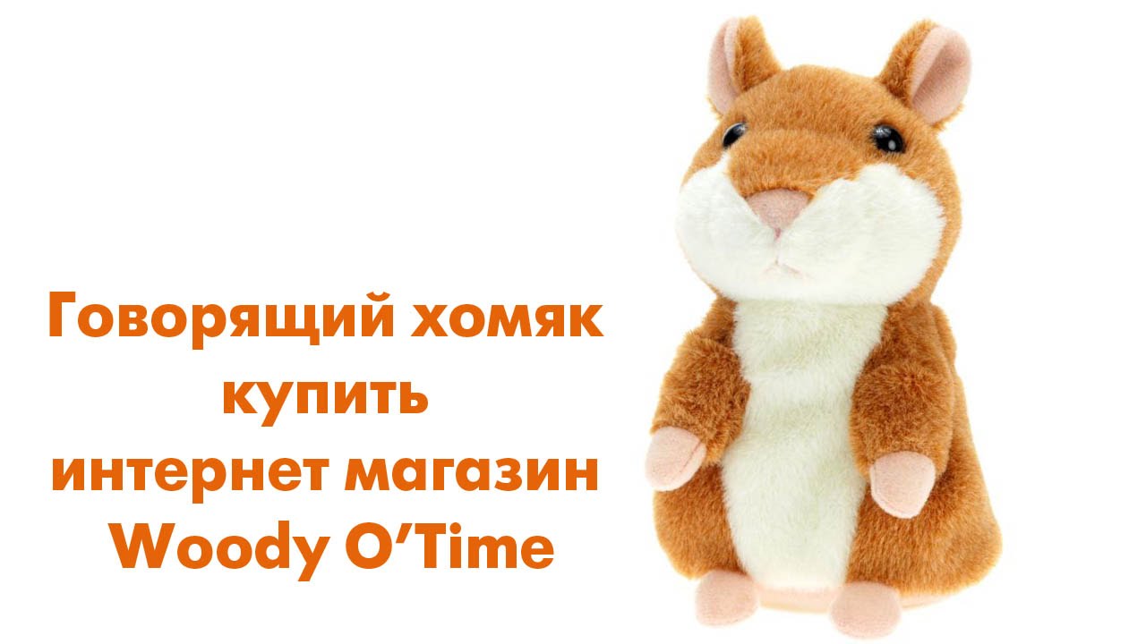Интернет Магазин Говорящих Игрушек
