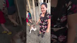 Chanel takot sa dagat by Husky Pack TV 4,833 views 3 weeks ago 7 minutes, 59 seconds