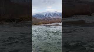 Река Бухтарма