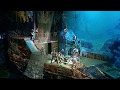 2017\18г. Водное Новогоднее шоу "Пираты подземного моря"