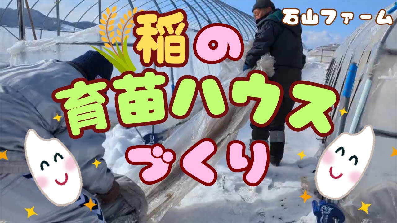 【米】稲の育苗ハウスづくり