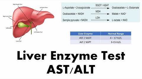 Liver Function Tests AST & ALT - Biochemistry & Clinical Significance