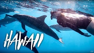 Epic Dolphin Swim in Hawaii w/ Julianne Hough, The Bucket List Family | Brooks Laich WP Ep 7