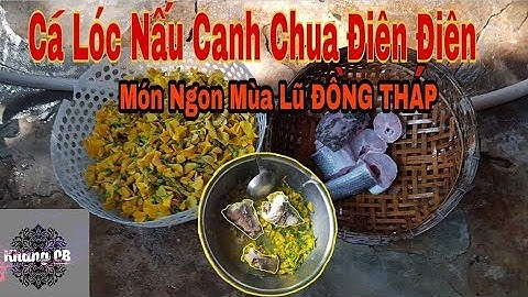 Đặc Sản Đồng Tháp : Canh Chua Cá Lóc Bông Điên Điển.