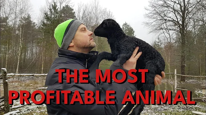Most Profitable Farm Animals: Pigs, Sheep, or Goats?