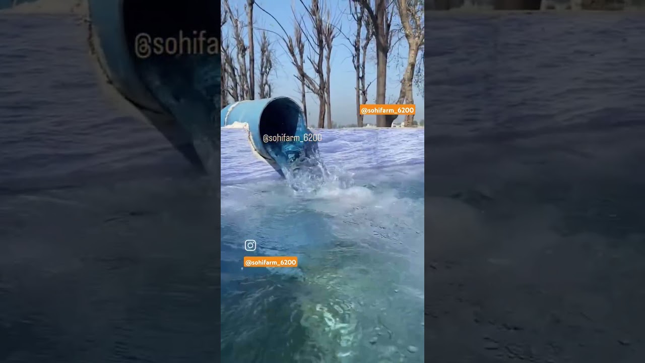 Pindan Wale || Sohi Farm House Dhuri || Farm Fresh 