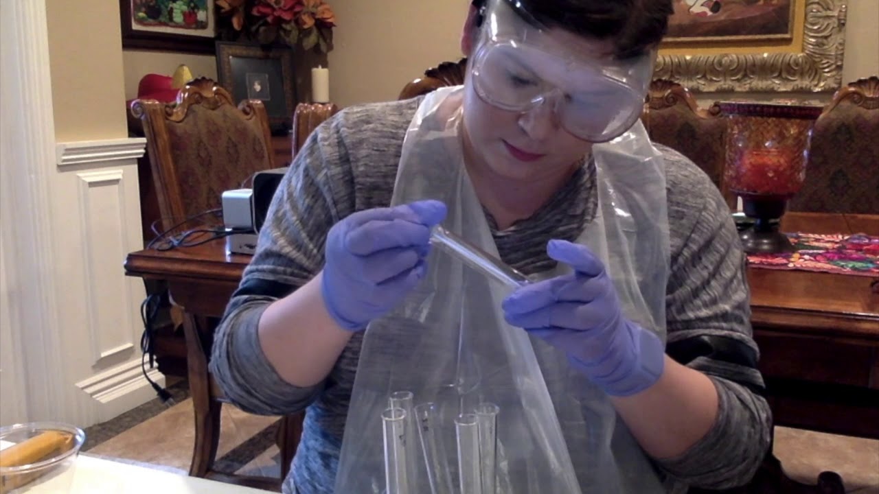 Bacteria Enumeration