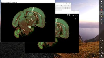 BigDataViewer Playground - Screenshots / Export of Current View to ImagePlus