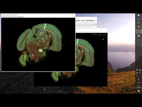 BigDataViewer Playground - Screenshots / Export of Current View to ImagePlus