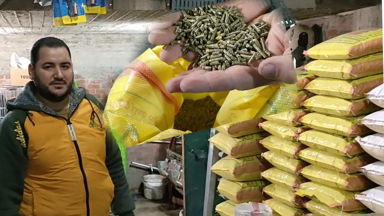 ازاى تختار افضل الاعلاف من حيث الجودة وزيادة وزن الأرانب أحسن علف للارانب#مصطفى_وأمل