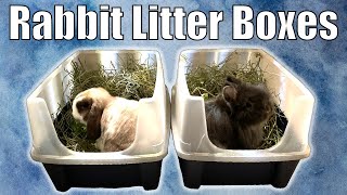 RABBIT LITTER BOX: How to Clean and Setup a Rabbit's Litter Box |  Cleaning and Setup Routine